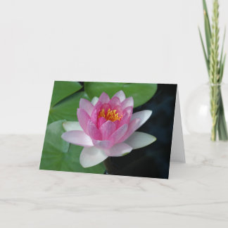 Waterlily 2 card