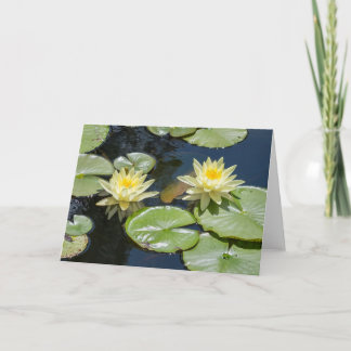 Waterlily Blank Note Card