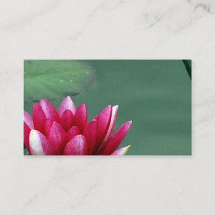 Waterlily Business Card Design