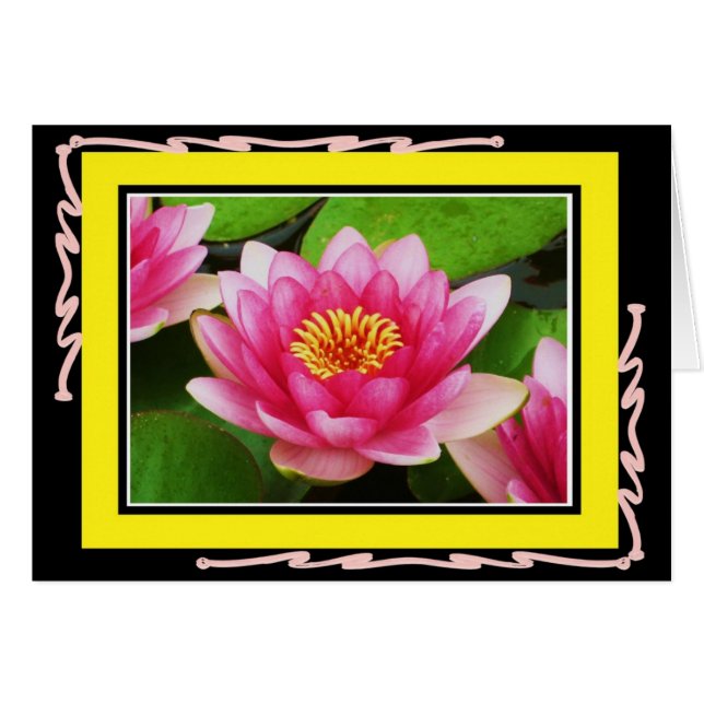 Waterlily Card (Front Horizontal)