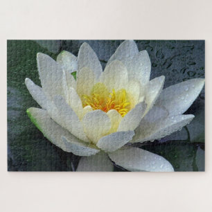Waterlily Jigsaw Puzzle