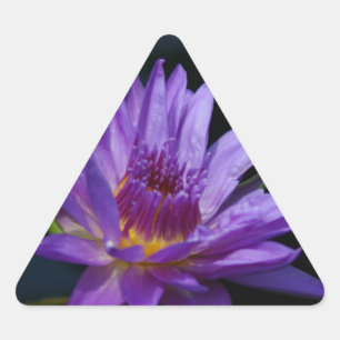 Waterlily Lotus Triangle Sticker