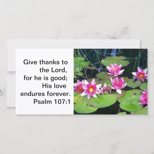 waterlily note card (Front)