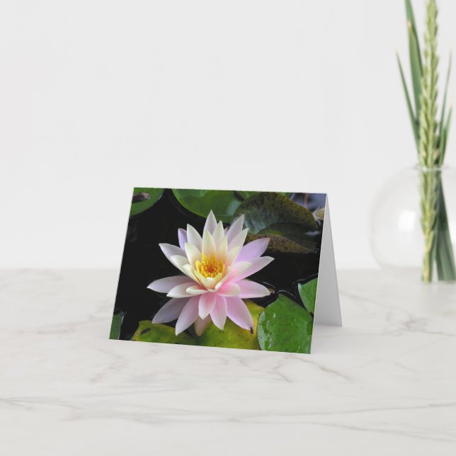 Waterlily Notecard (Front)