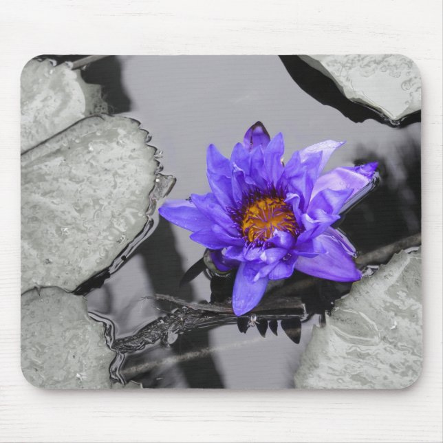 WaterLily Pond Mouse Pad (Front)