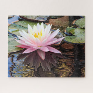 Waterlily Reflections Jigsaw Puzzle