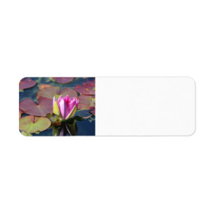Waterlily Return Address label