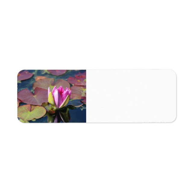 Waterlily Return Address label (Front)