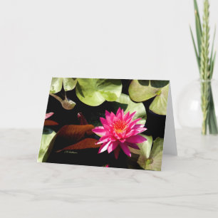 Waterlily Rose I Card