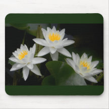 Waterlily Trio Mousepad