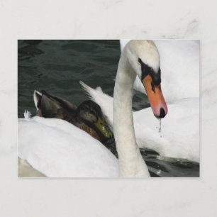 Watermead Country Park Postcard