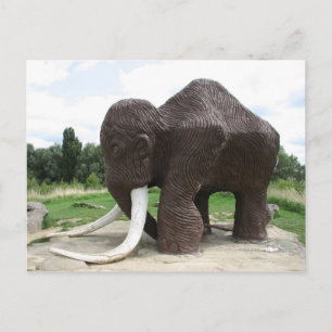 Watermead Country Park Postcard