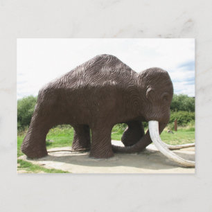 Watermead Country Park Postcard