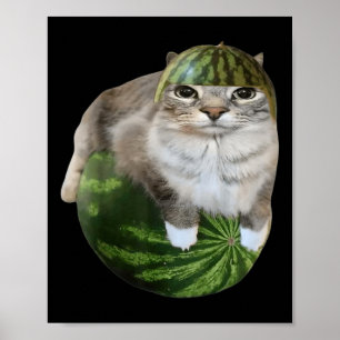 Watermelon Cat Funny Meme Poster