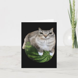 Watermelon Cat Silly Cat Meme  Card