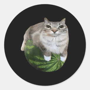 Watermelon Cat Silly Cat Meme  Classic Round Sticker