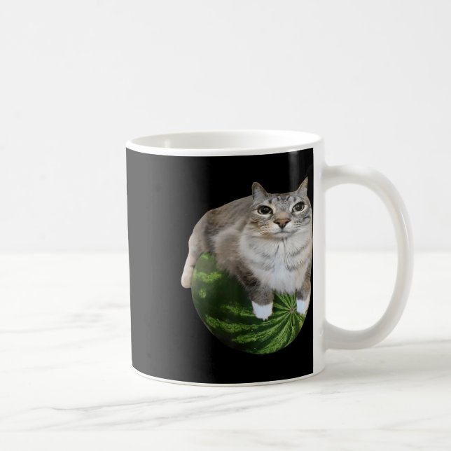Watermelon Cat Silly Cat Meme  Coffee Mug (Right)