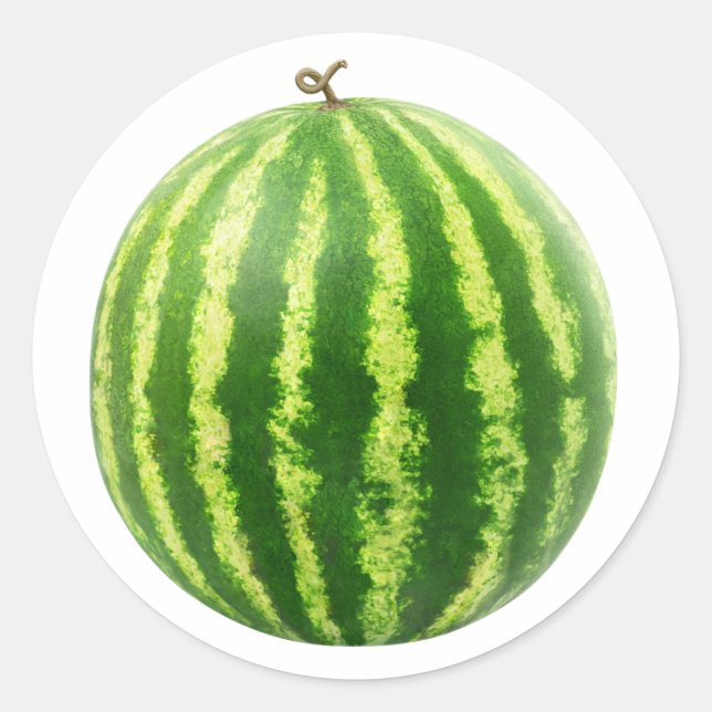 Watermelon Classic Round Sticker (Front)