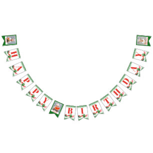 Watermelon Green Glitter Custom 3 Photo Birthday Bunting
