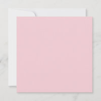 Watermelon Lollipop Pink Solid Colour