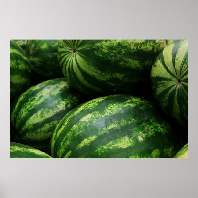 Watermelon Poster (Front)