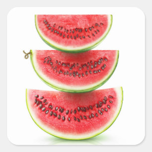 Watermelon pyramid square sticker