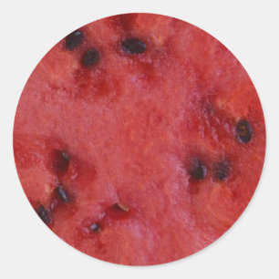 Watermelon sliced classic round sticker
