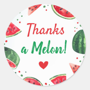Watermelon Summer Birthday Party Thanks a Melon Classic Round Sticker