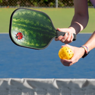 Watermelon with ladybug pickleball paddle