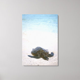 Water's edge canvas print