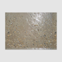 Water's Edge Stones Shells Beach Ocean Sand Summer
