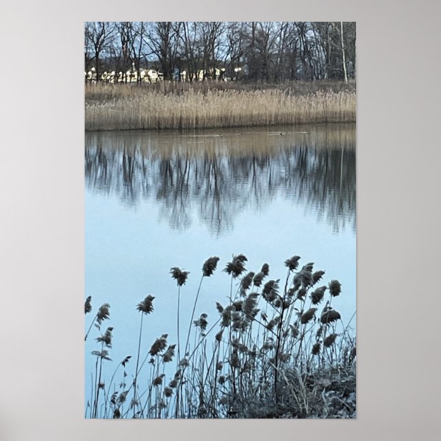 Waterscape Photo Poster (Front)