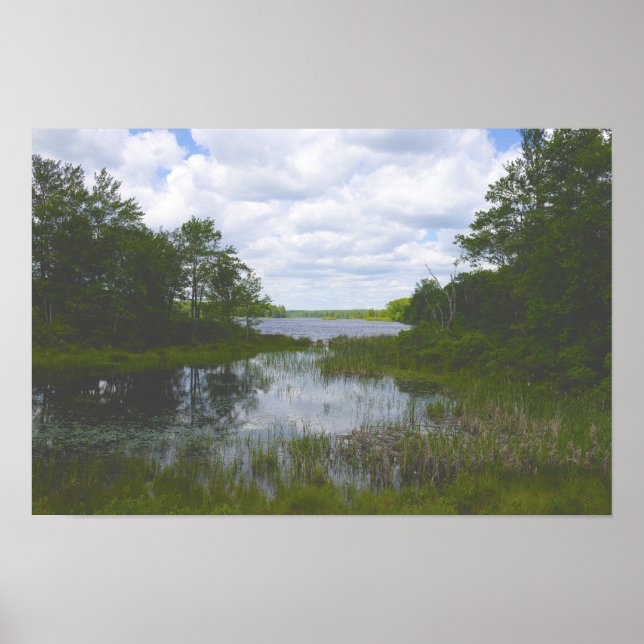 Waterscape Reflections Poster (Front)