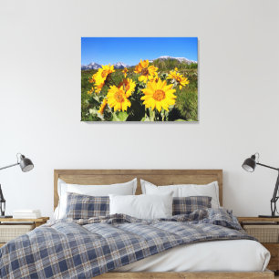 Waterton Lakes National Park Wildflowers Canvas Print