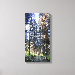 Waterton Valley Trail - Glacier National Park Canvas Print