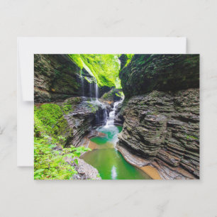 Watkins Glen State Park, New York Postcard