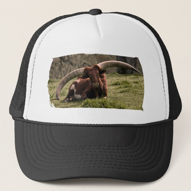 Watusi Cow Trucker Hat (Front)