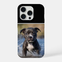"Wave Chaser: A Staffy Puppy at Play in the Ocean"