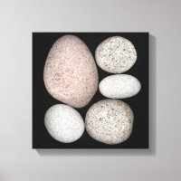 Wave-Rounded Granite Rocks of Various Colours