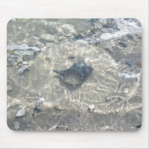Wave-Washed Black Conch Seashell Mouse Pad