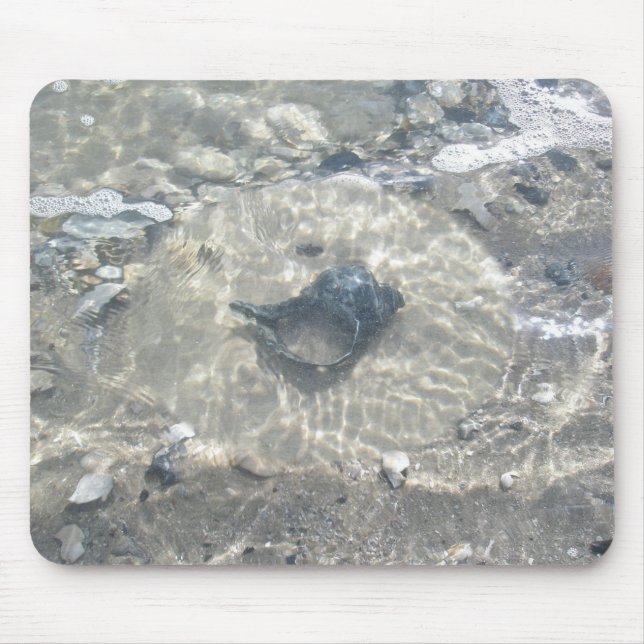 Wave-Washed Black Conch Seashell Mouse Pad (Front)