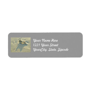 Wave-Washed Shell Adress Label