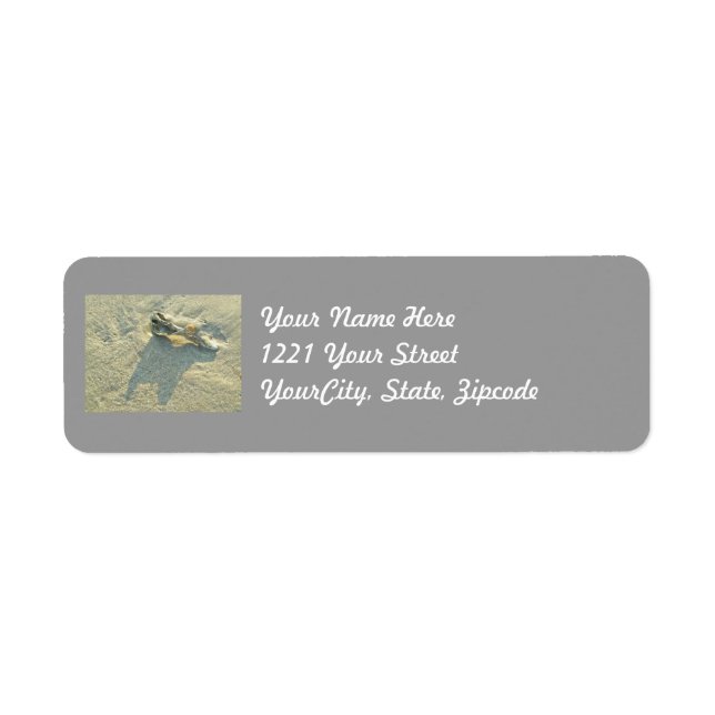 Wave-Washed Shell Adress Label (Front)