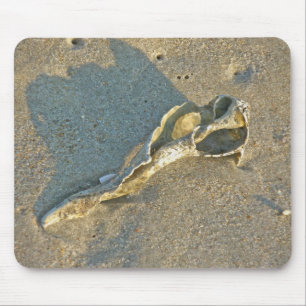 Wave-Washed Shell Cape Cod Items Mouse Pad