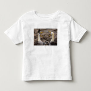 Waved albatross Phoebastria irrorata) pair Toddler T-Shirt