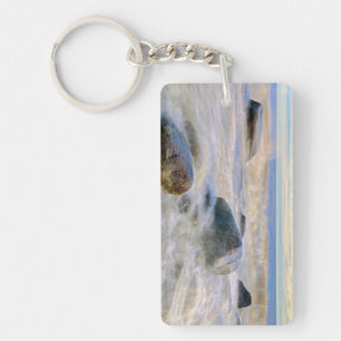 Waves crashing on shoreline rocks key ring