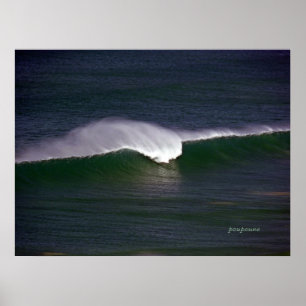 waves of fun poster
