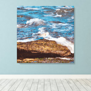 Waves on Rocky Coast shore Ocean Canvas