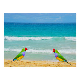 Waves, sky and surf on Boa Vista beach Poster