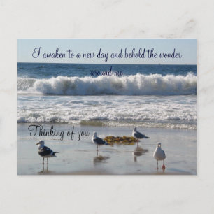 Waves & the seagulls_ Postcard